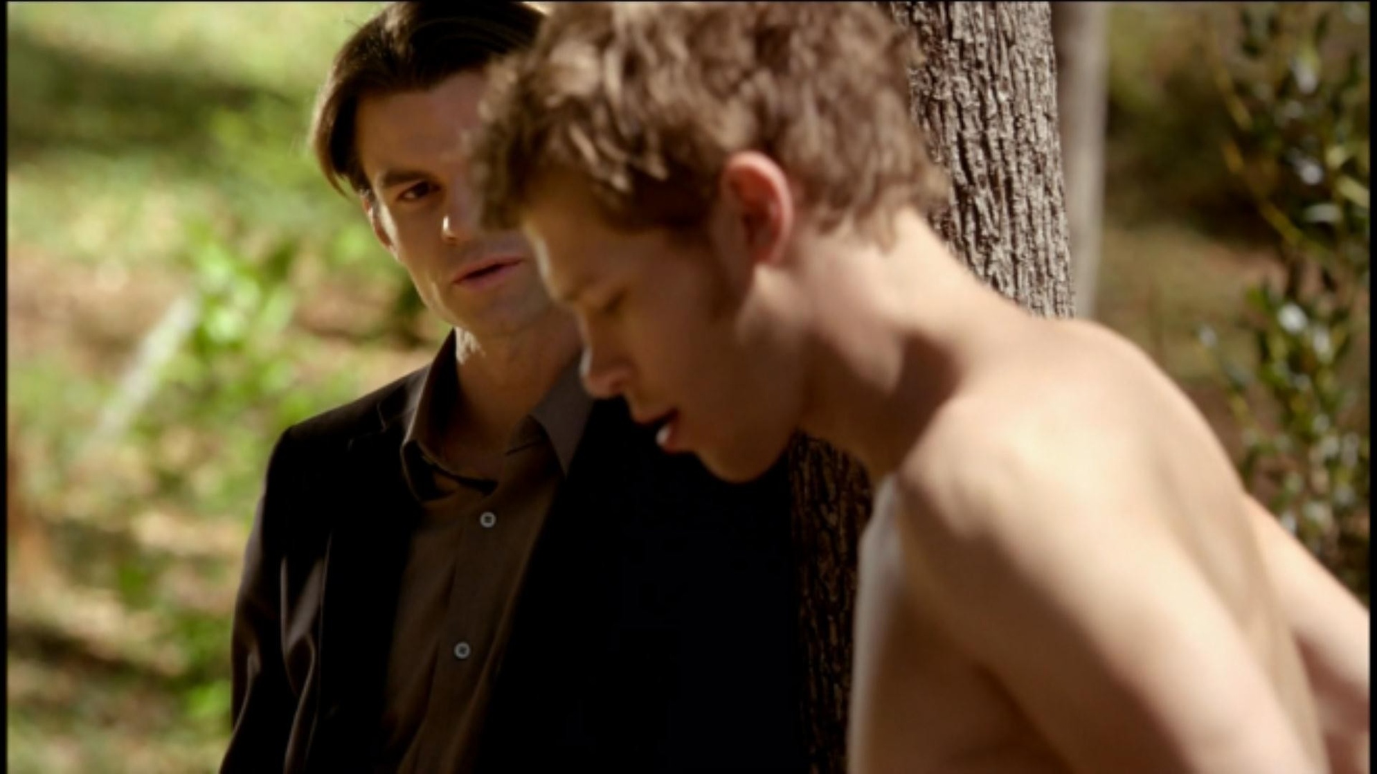 The Vampire Diaries