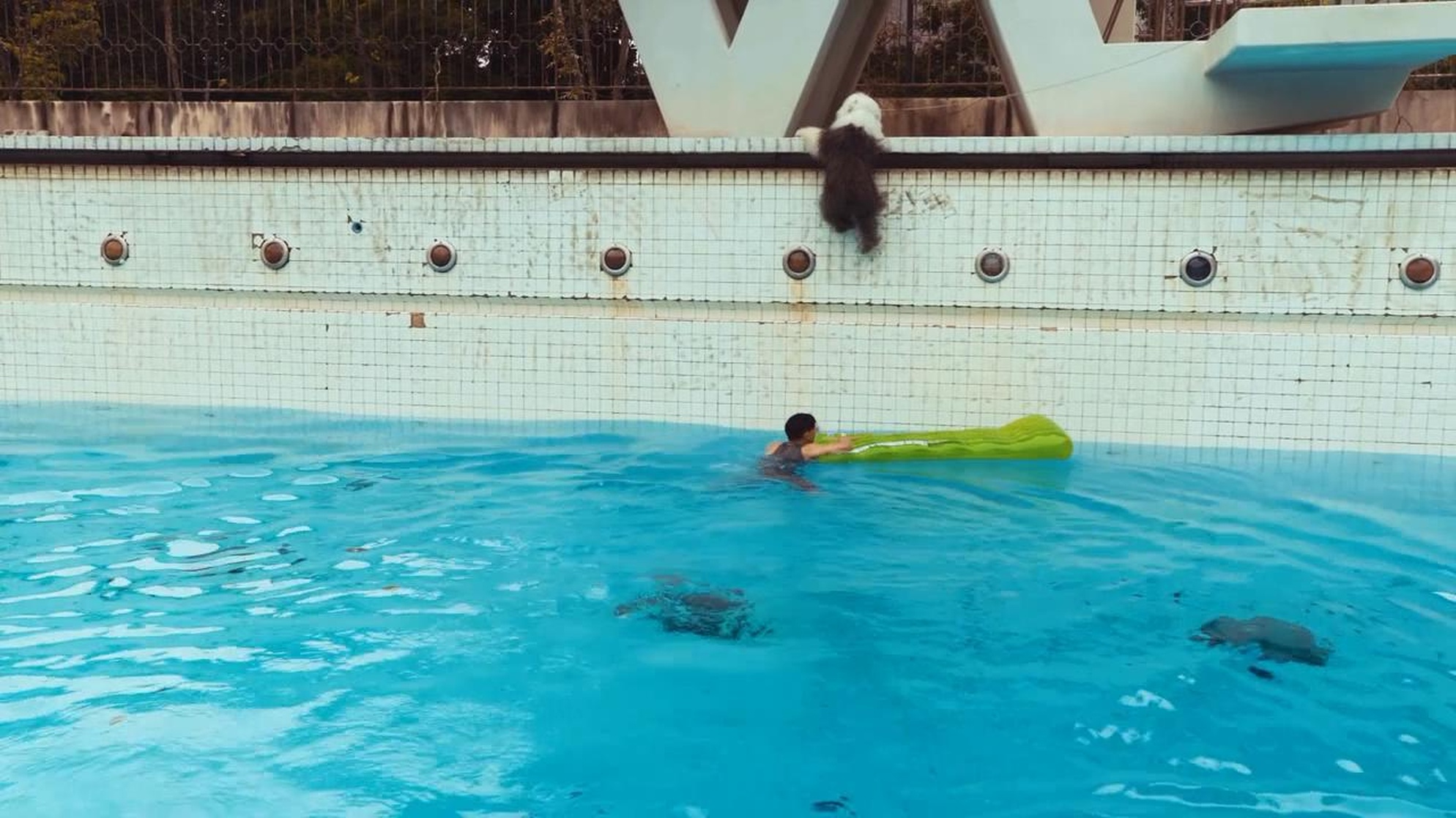 The Pool