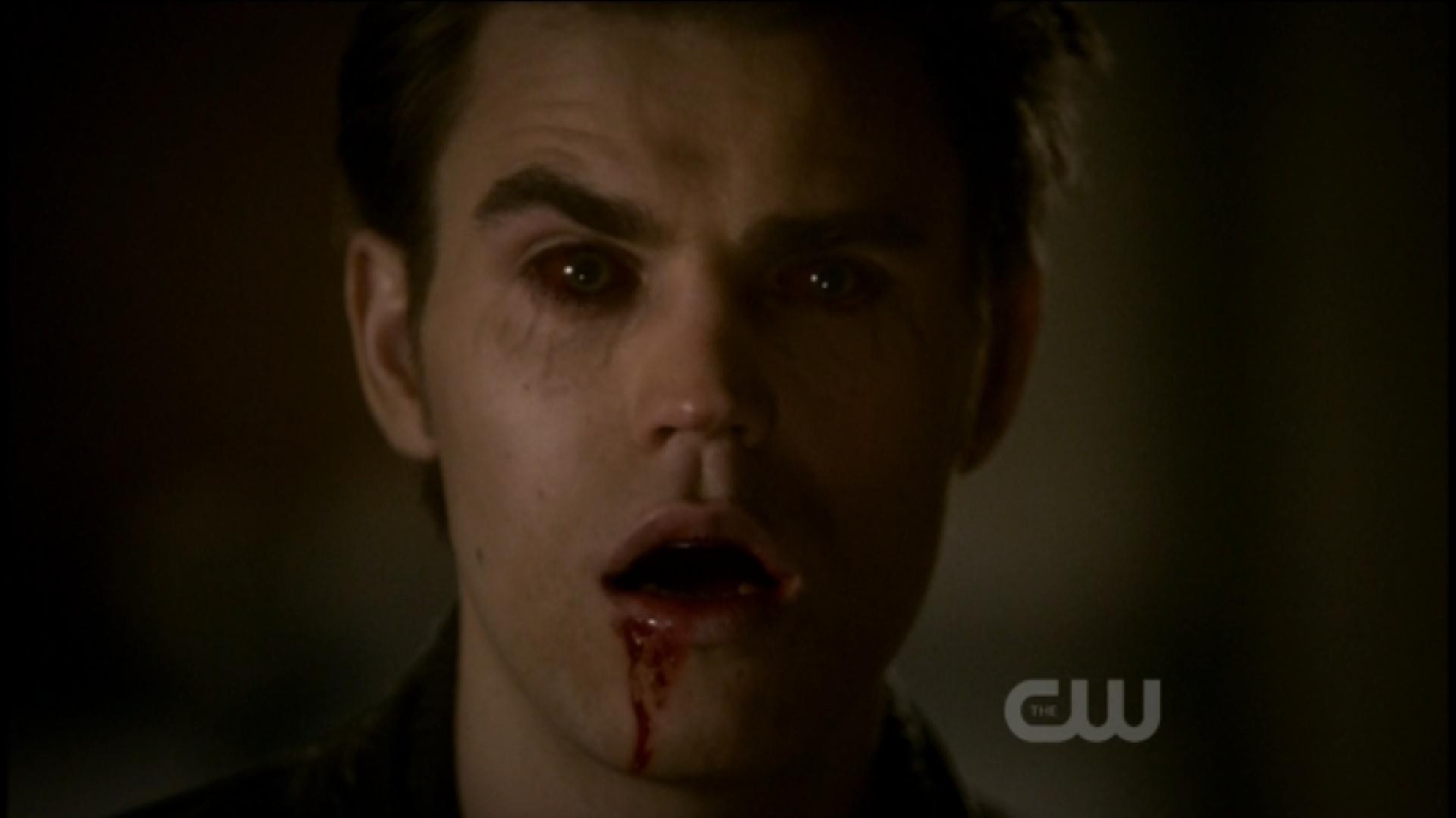 The Vampire Diaries The Vampire Diaries