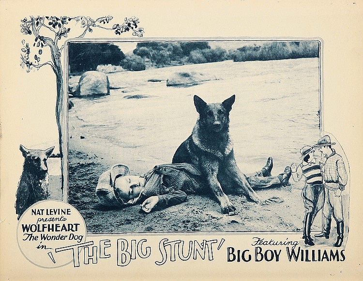 The Big Stunt The Big Stunt