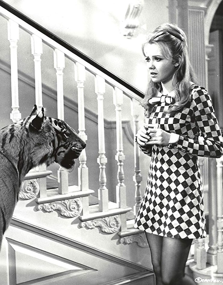 Picture of Hayley Mills.