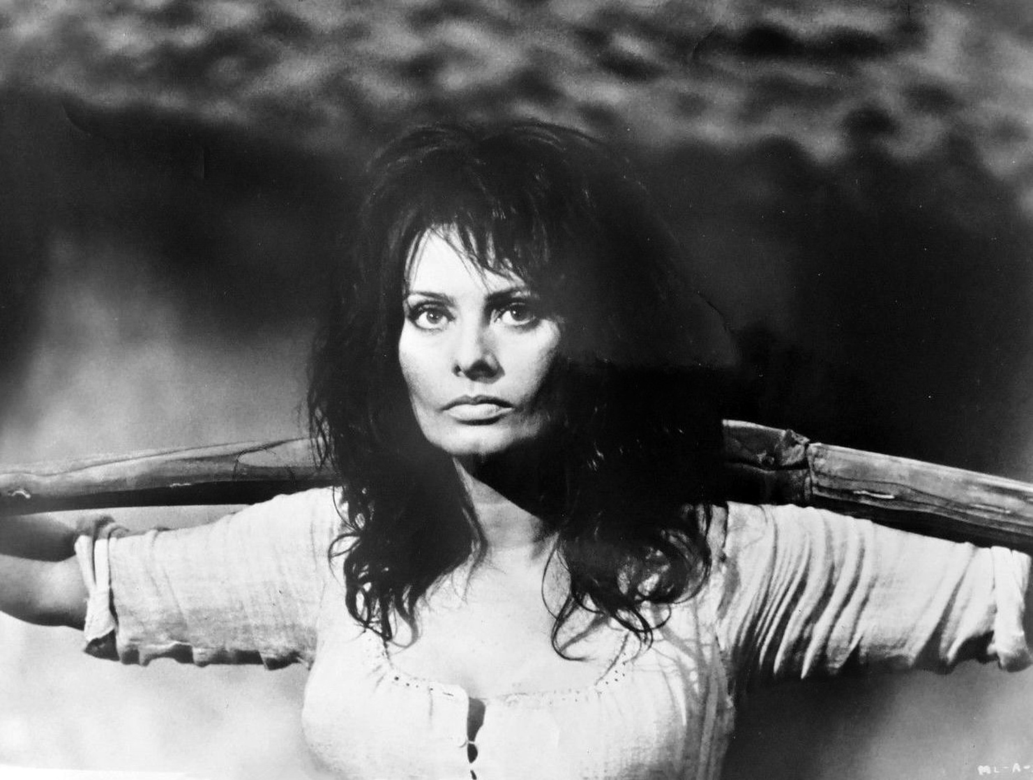 Sophia Loren