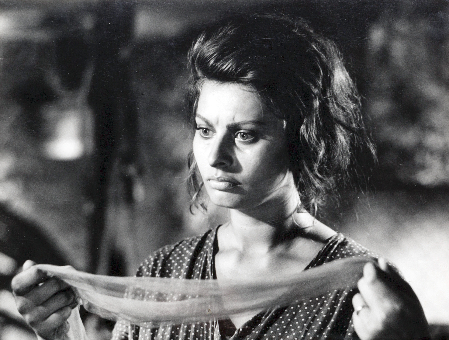 Sophia Loren