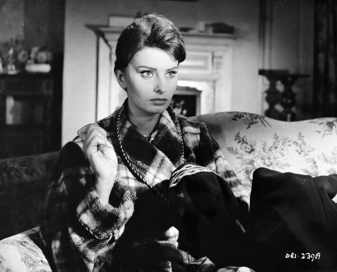 Sophia Loren