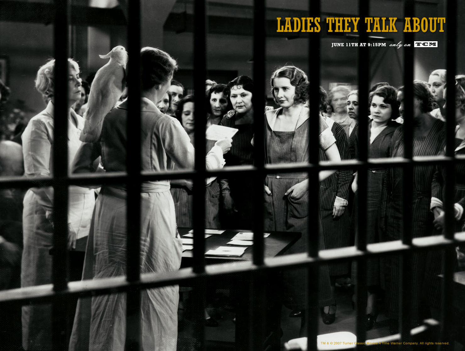 Ladies They Talk About