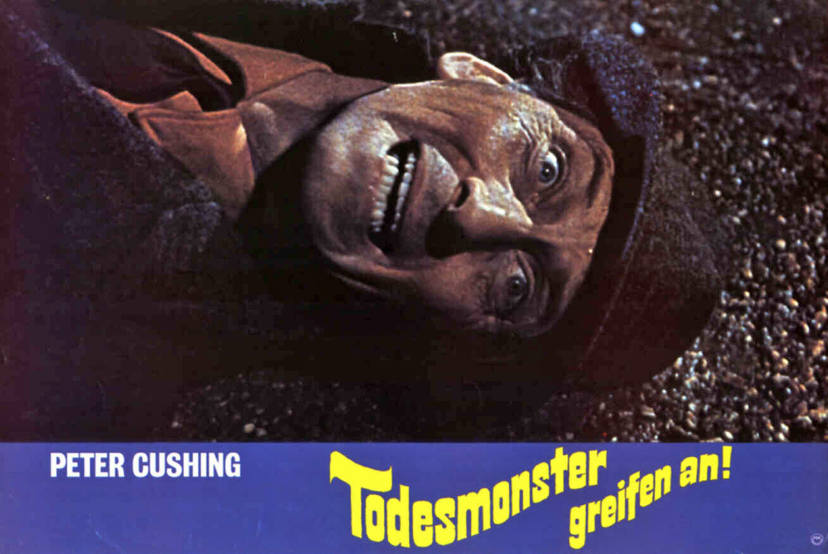 Island of Terror