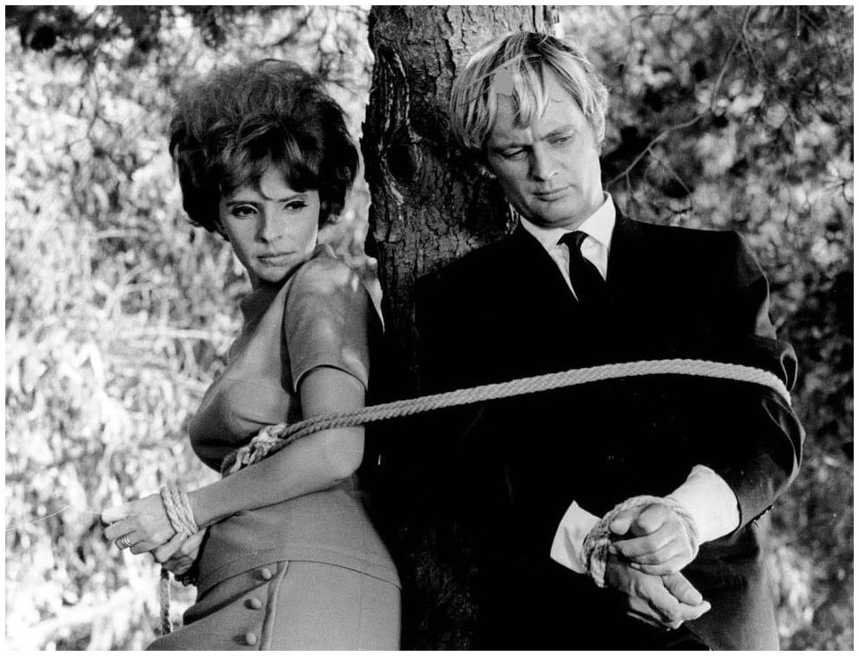 Madlyn Rhue, David McCallum