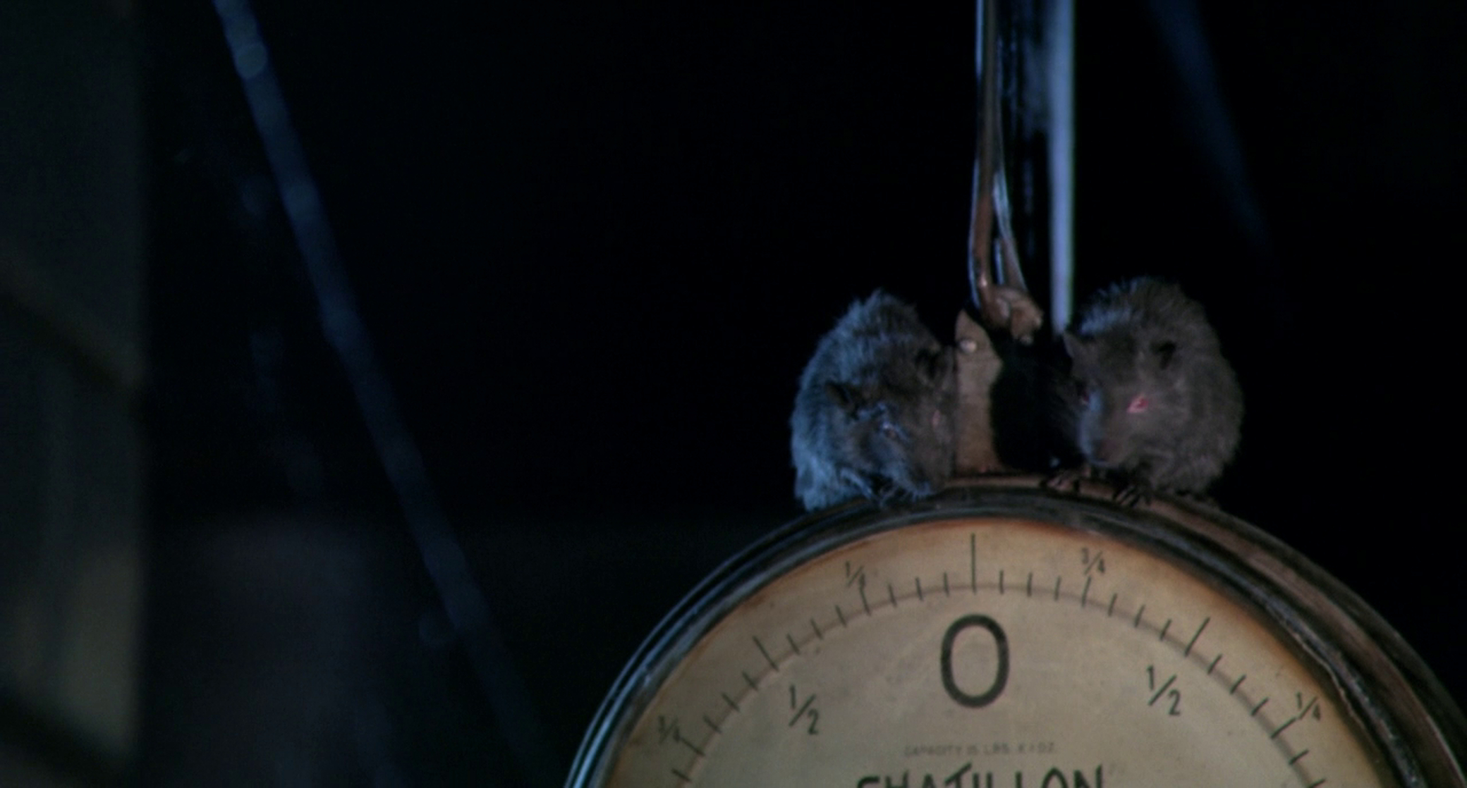 Rats: Night of Terror Rats: Night of Terror