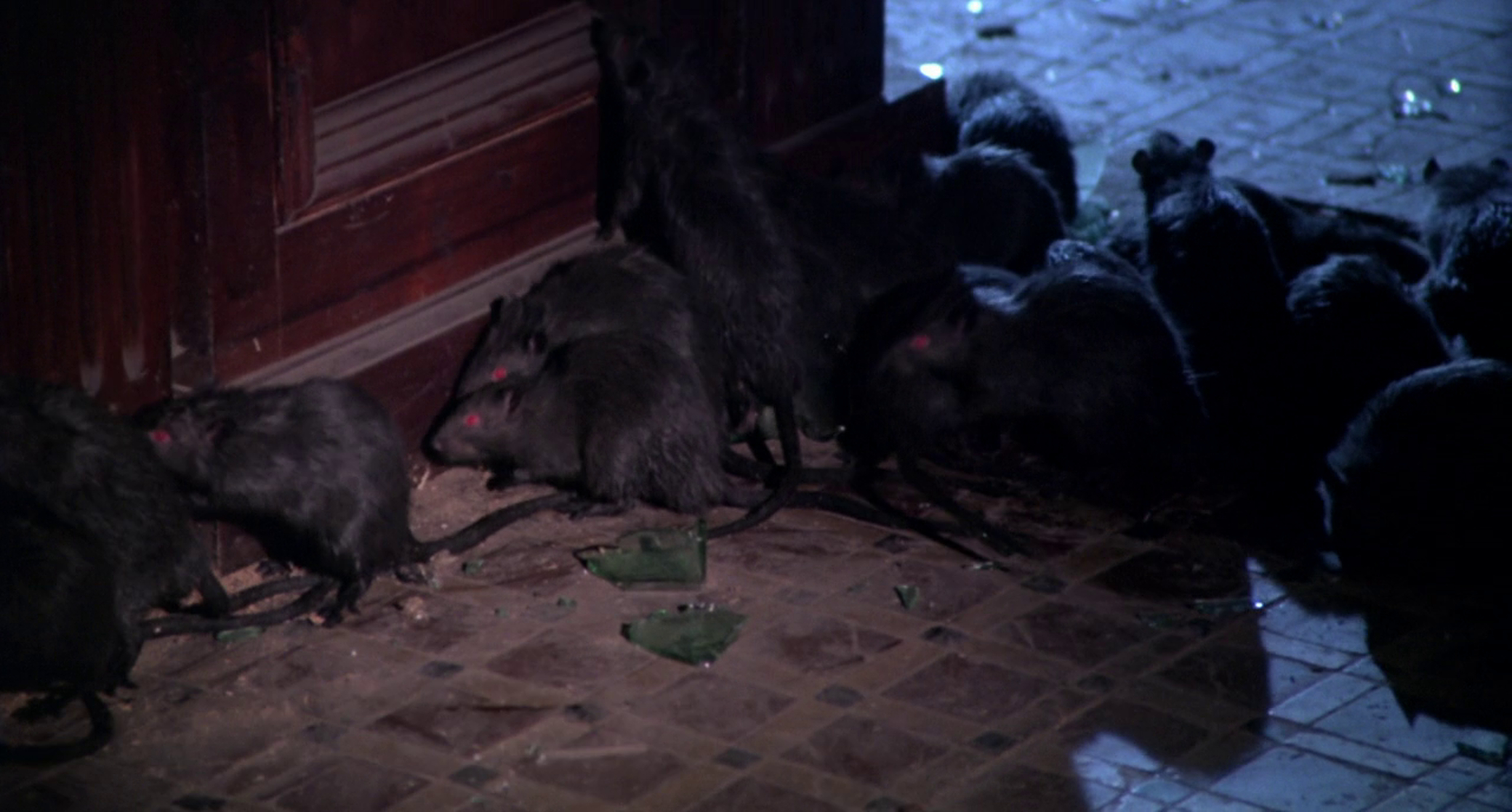 Rats: Night of Terror Rats: Night of Terror