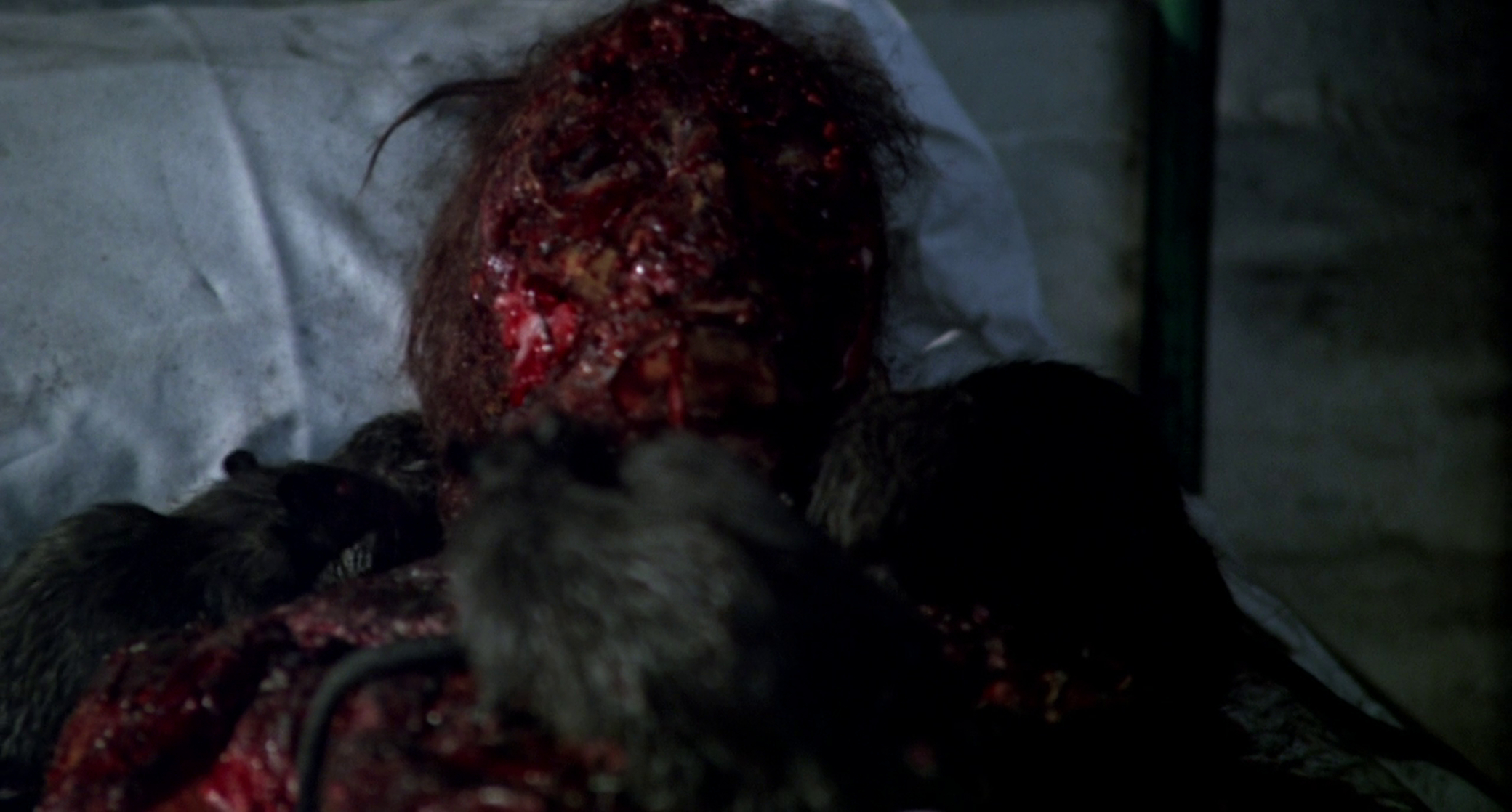 Rats: Night of Terror Rats: Night of Terror