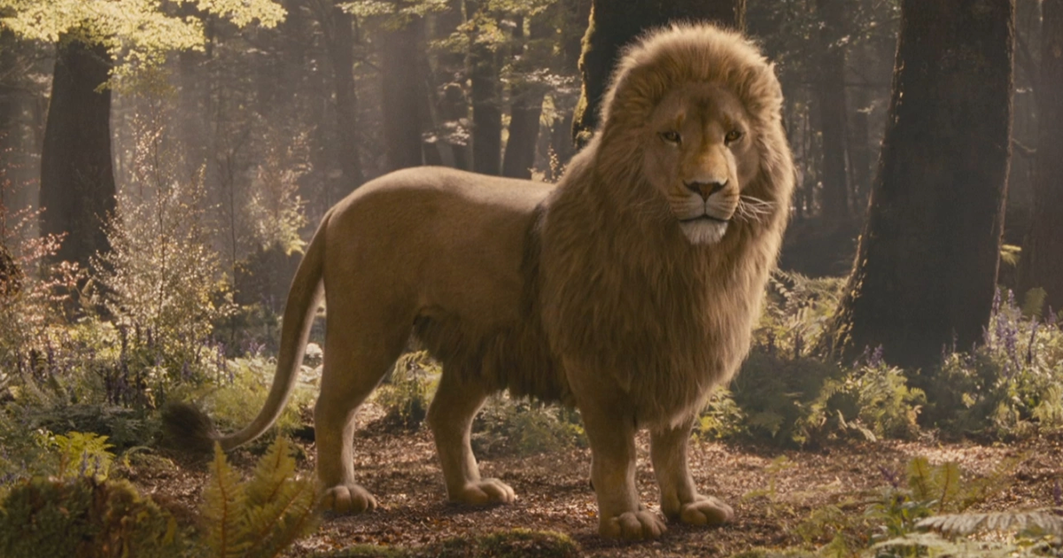 Aslan