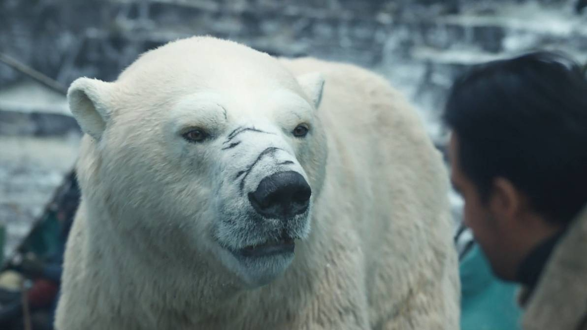 His Dark Materials