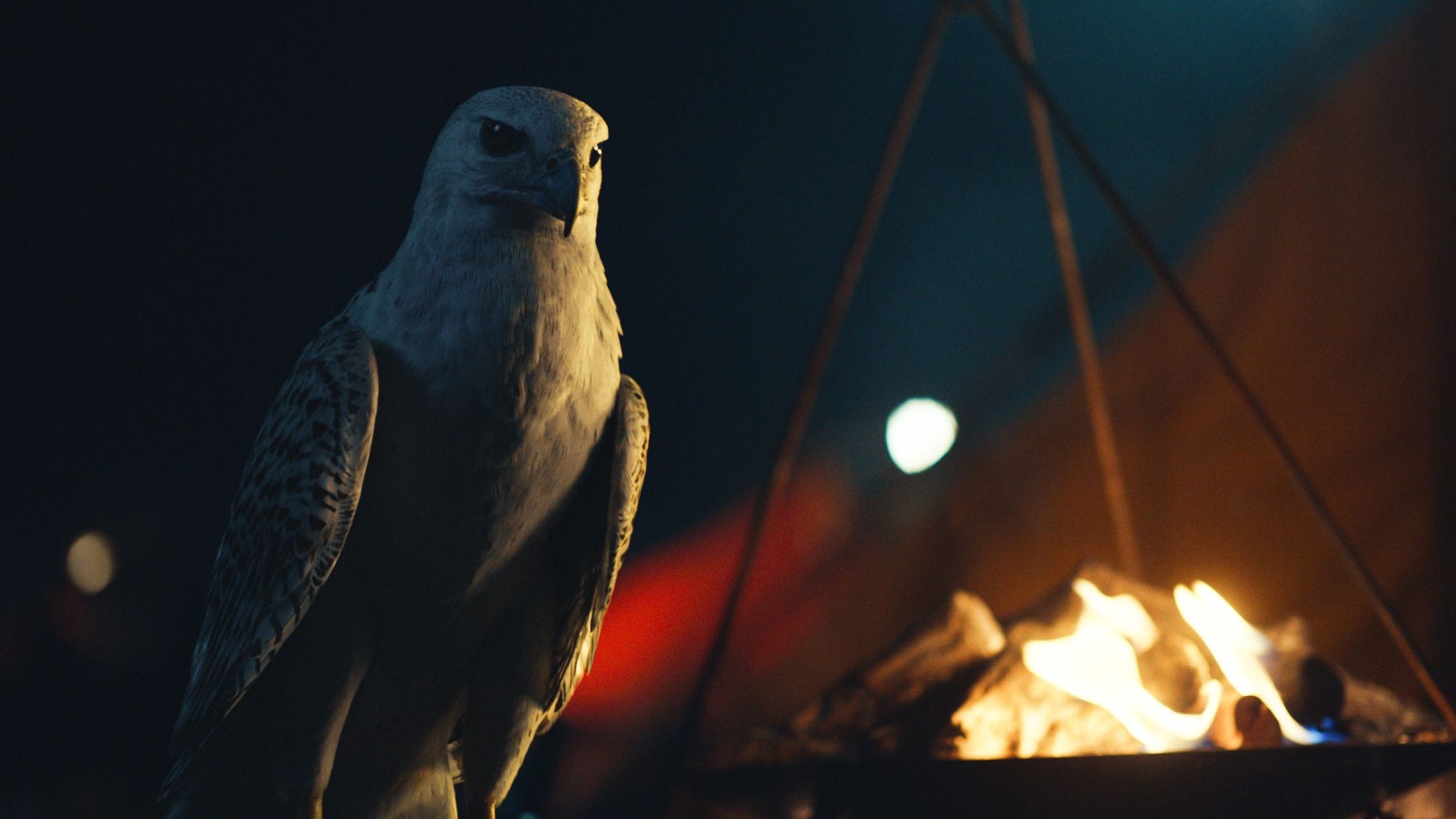 His Dark Materials