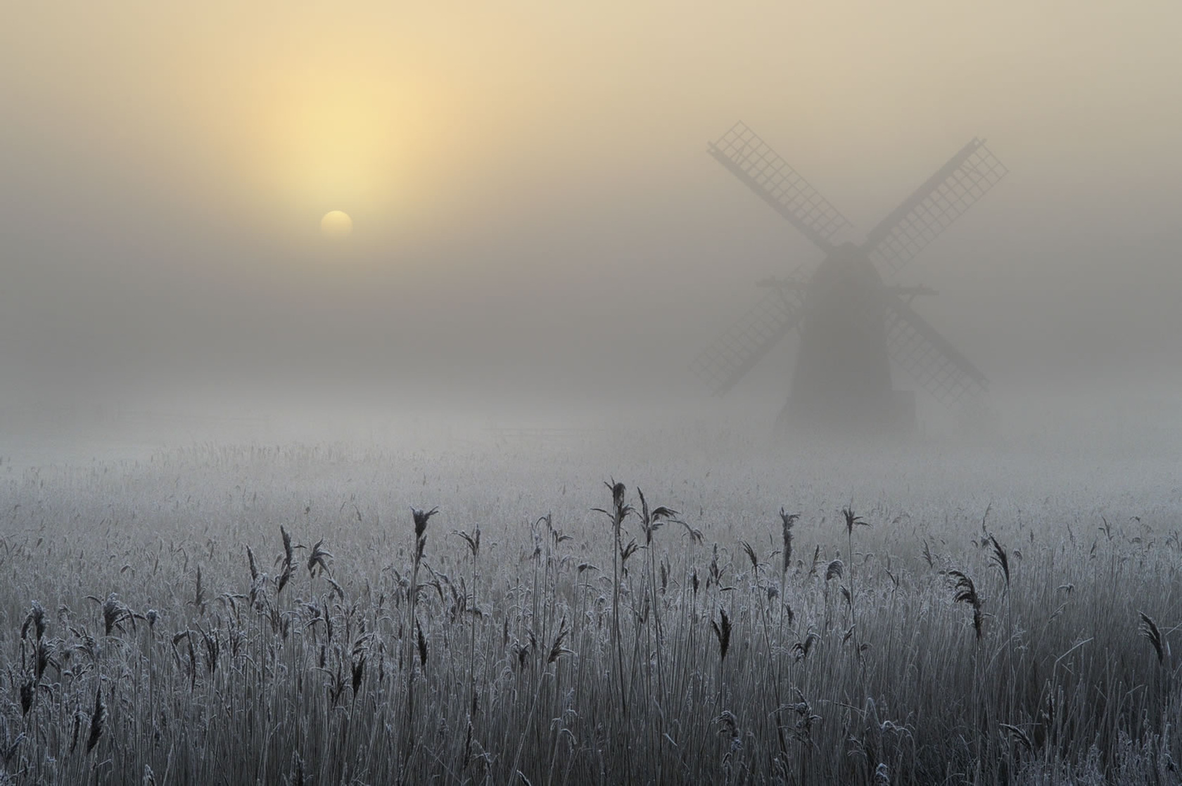 Fog