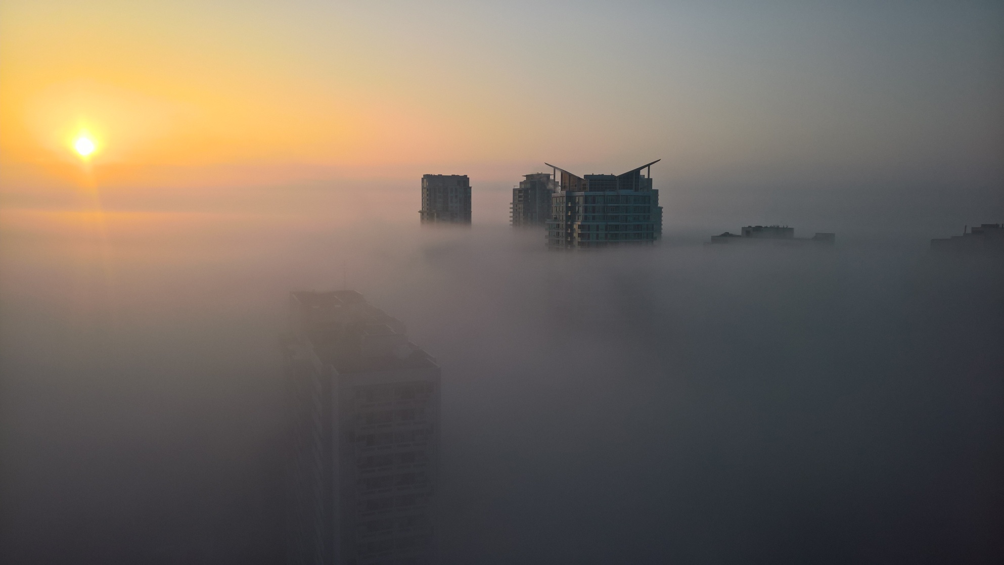 Fog
