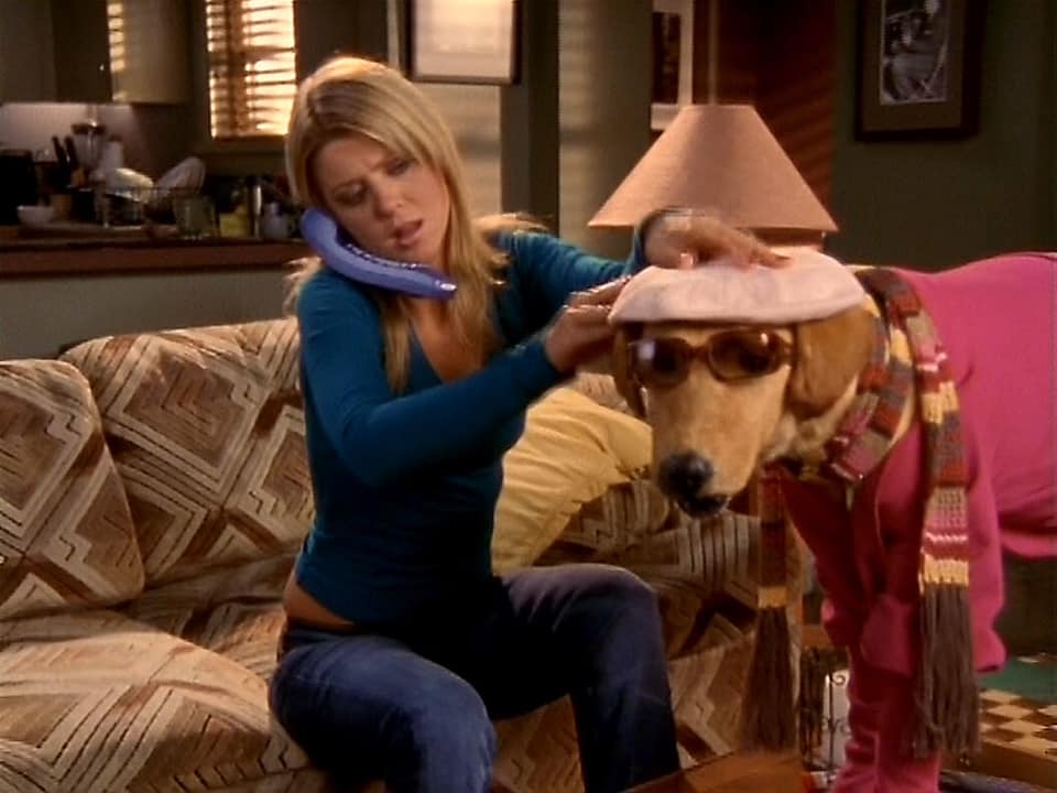 Scrubs