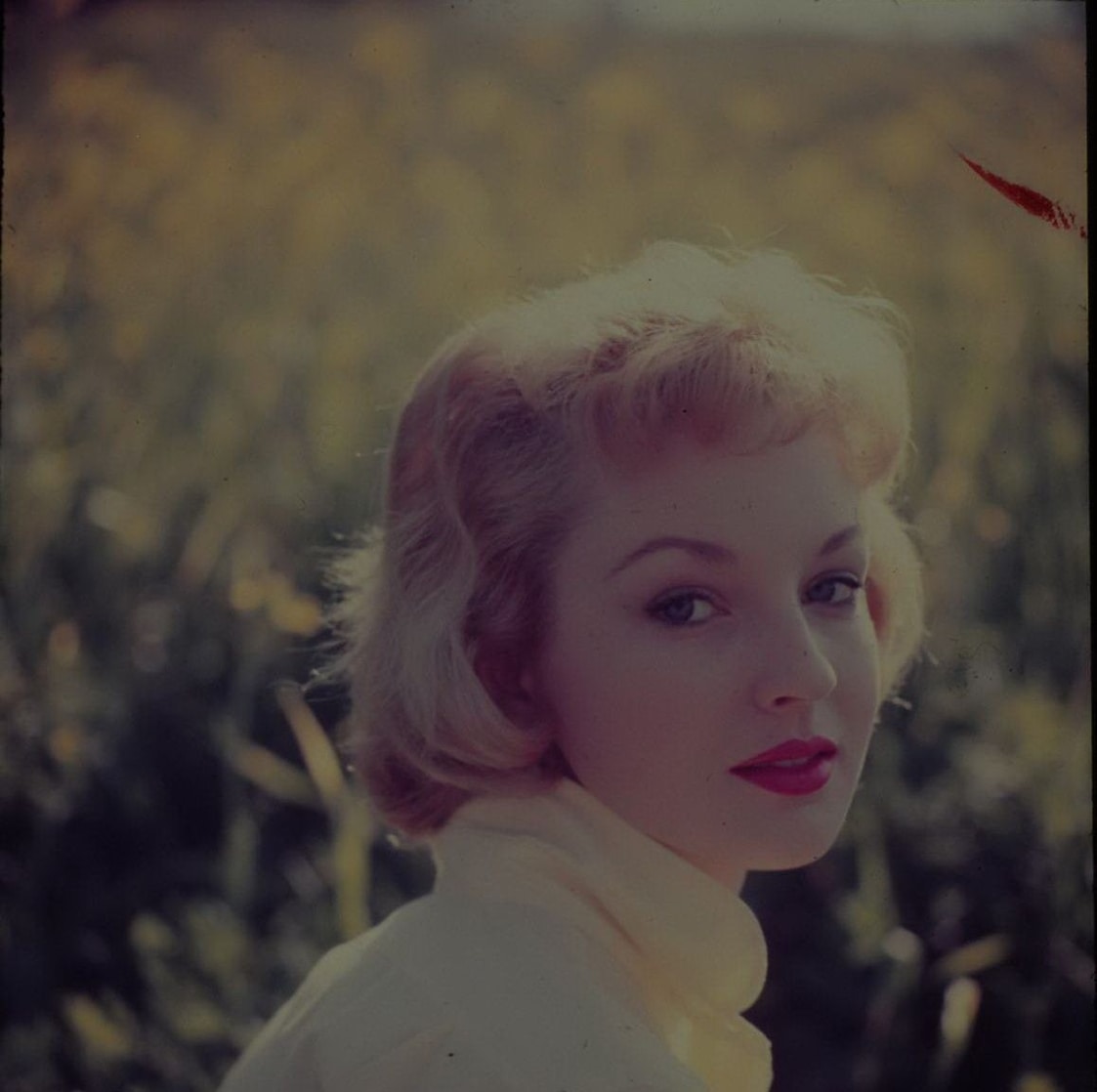 Venetia Stevenson
