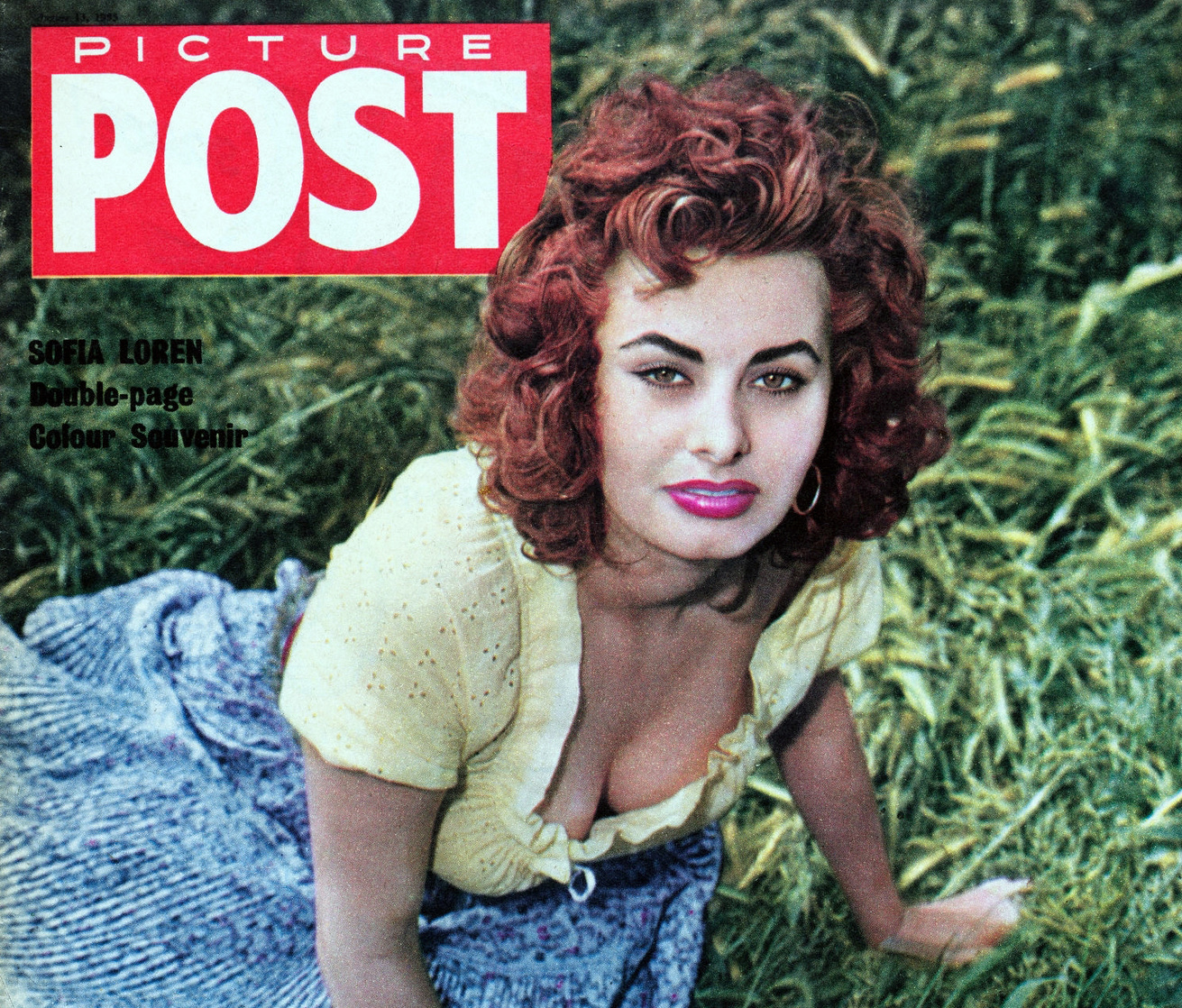 Sophia Loren Sophia Loren