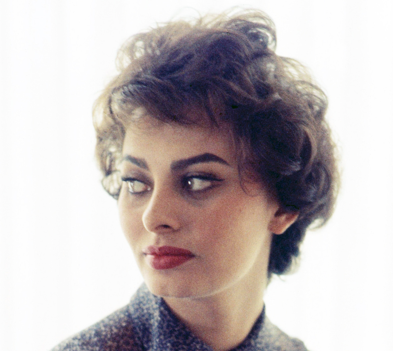 Sophia Loren Sophia Loren