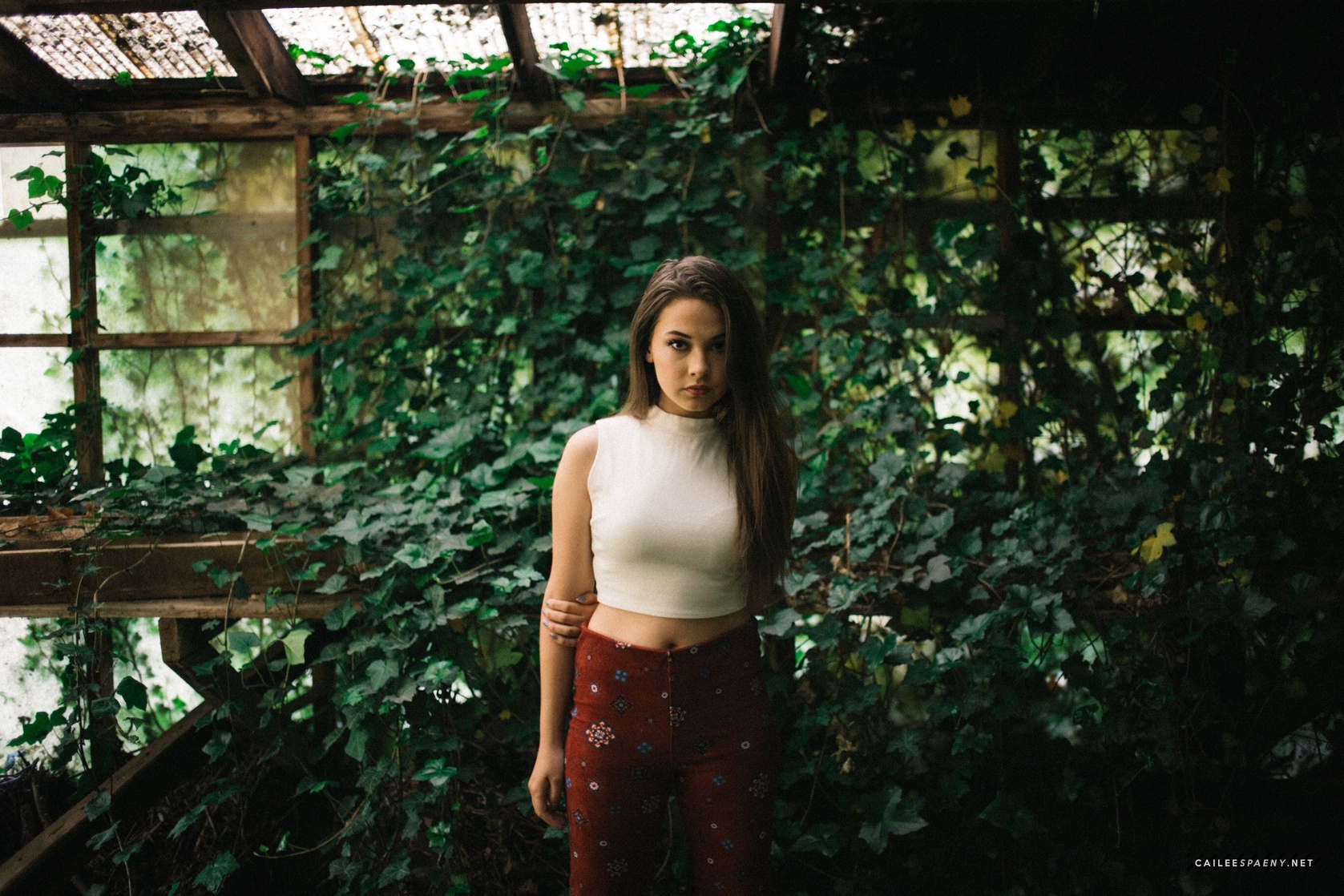 Cailee Spaeny