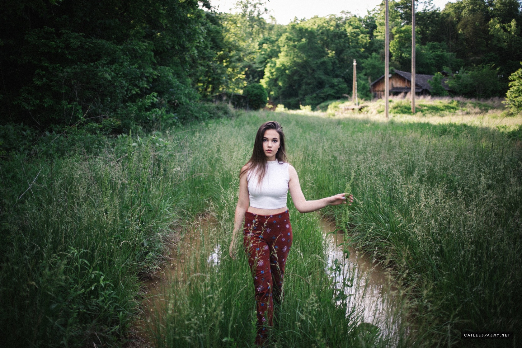 Cailee Spaeny