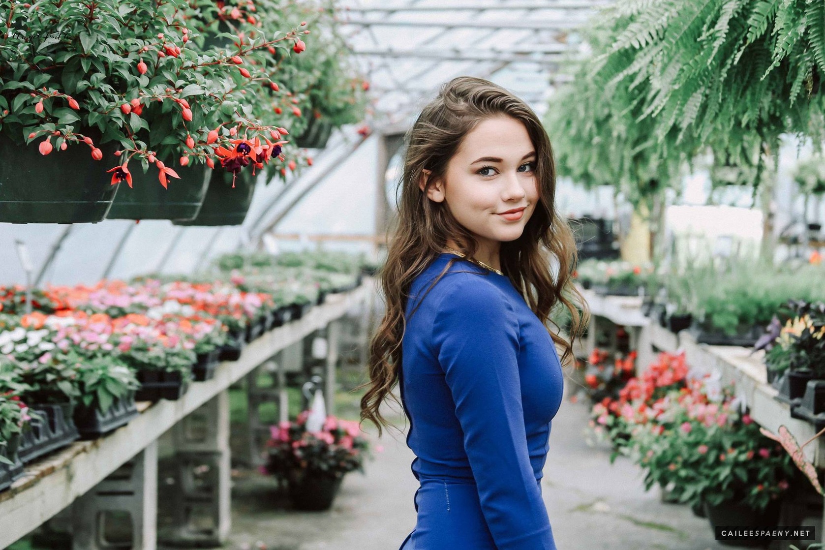 Cailee Spaeny Cailee Spaeny
