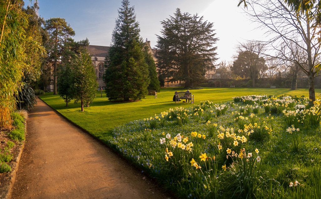 Wadham College, Oxford