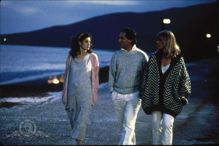 Picture of The Boost (1988)