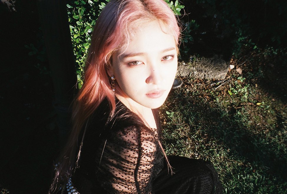 Yeri Yeri