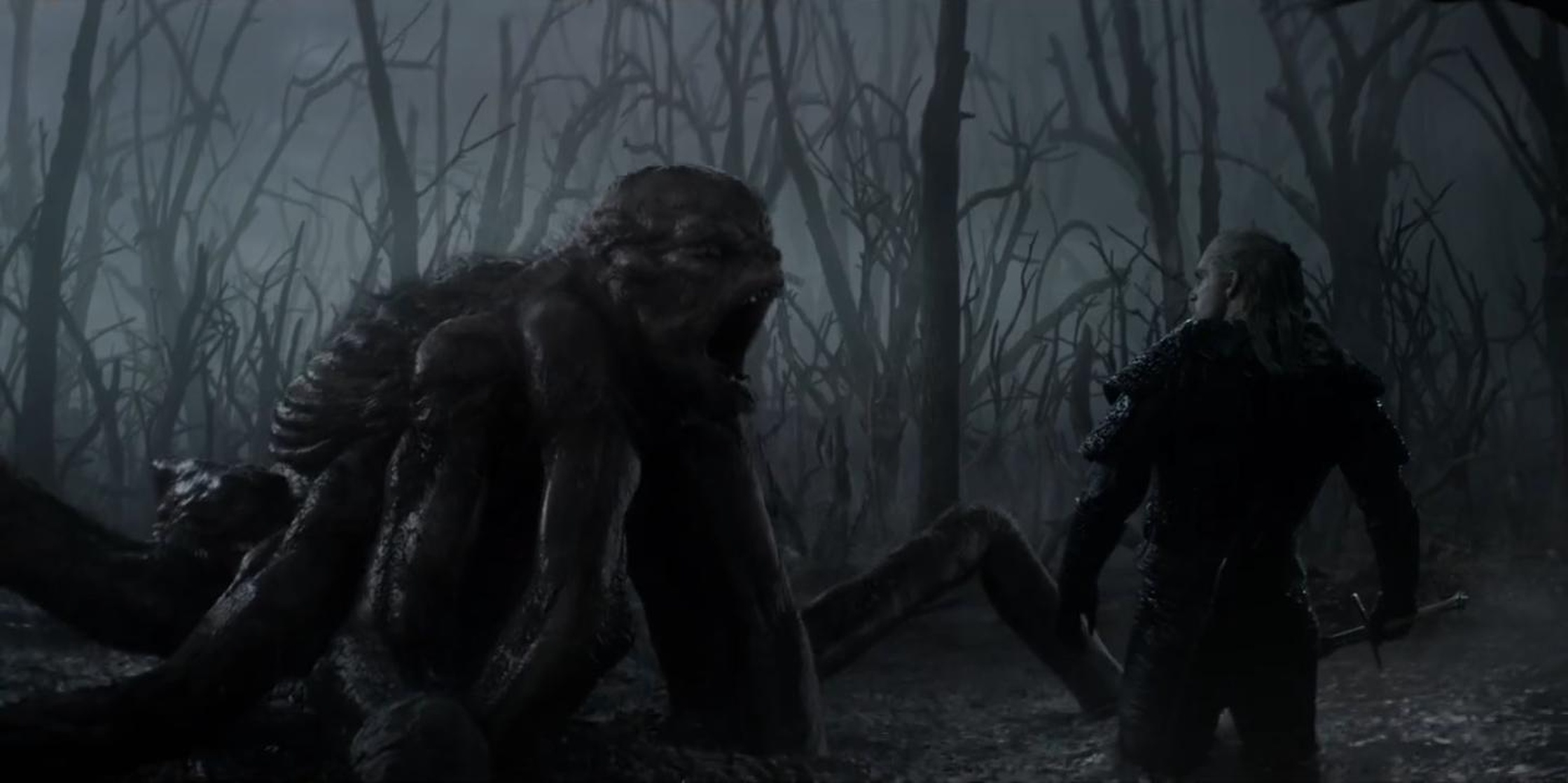 The Witcher