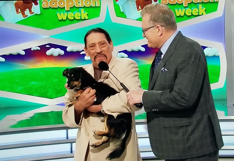 Danny Trejo