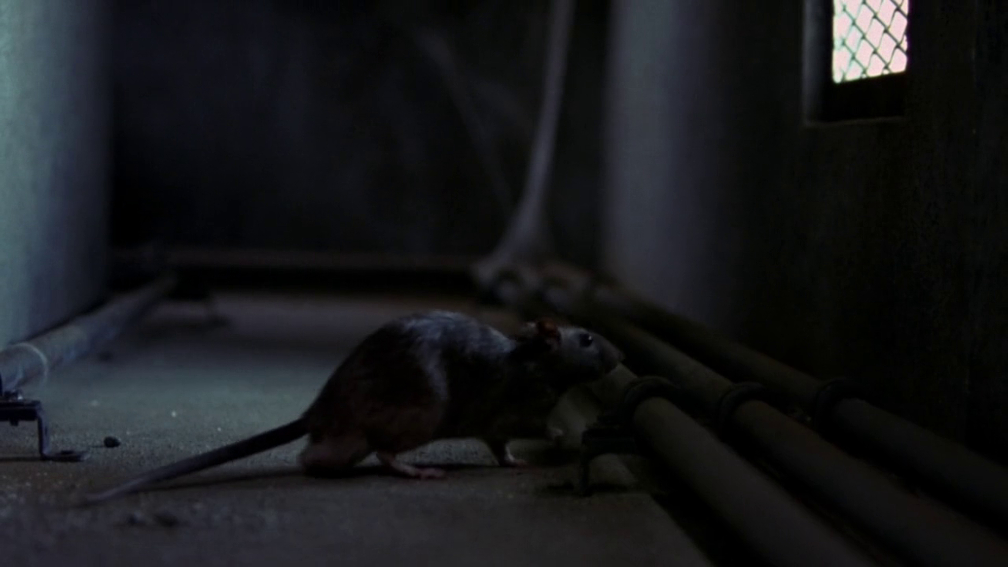 Beyond Re-Animator