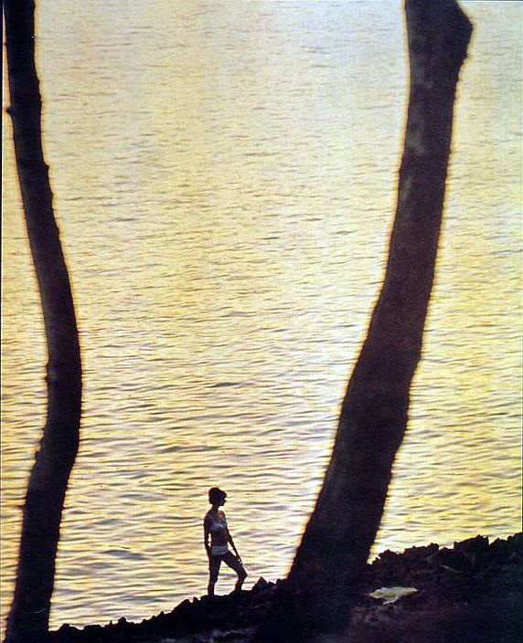 Image of Sonny Drane