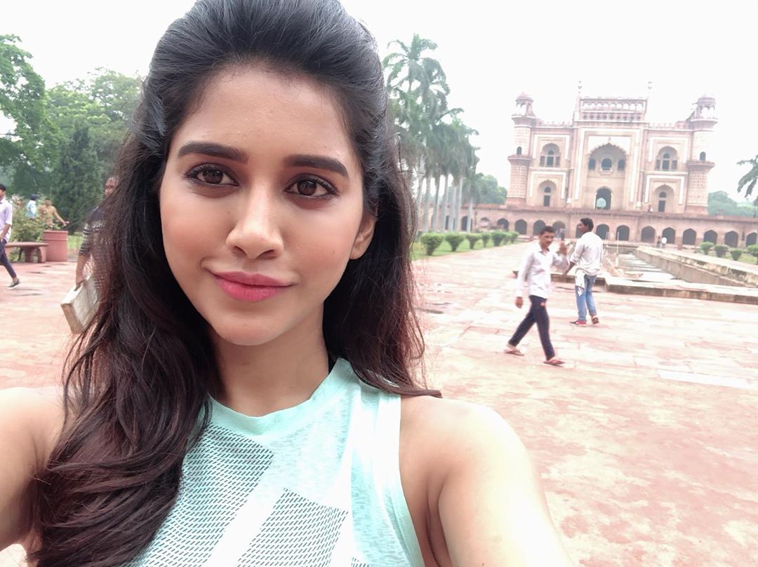 Nabha Natesh
