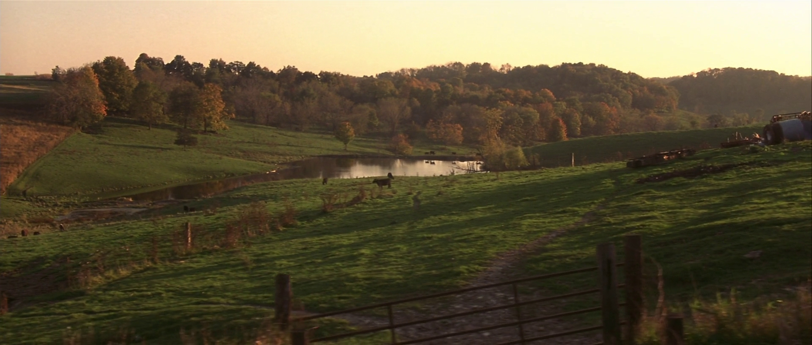 The Straight Story (1999)