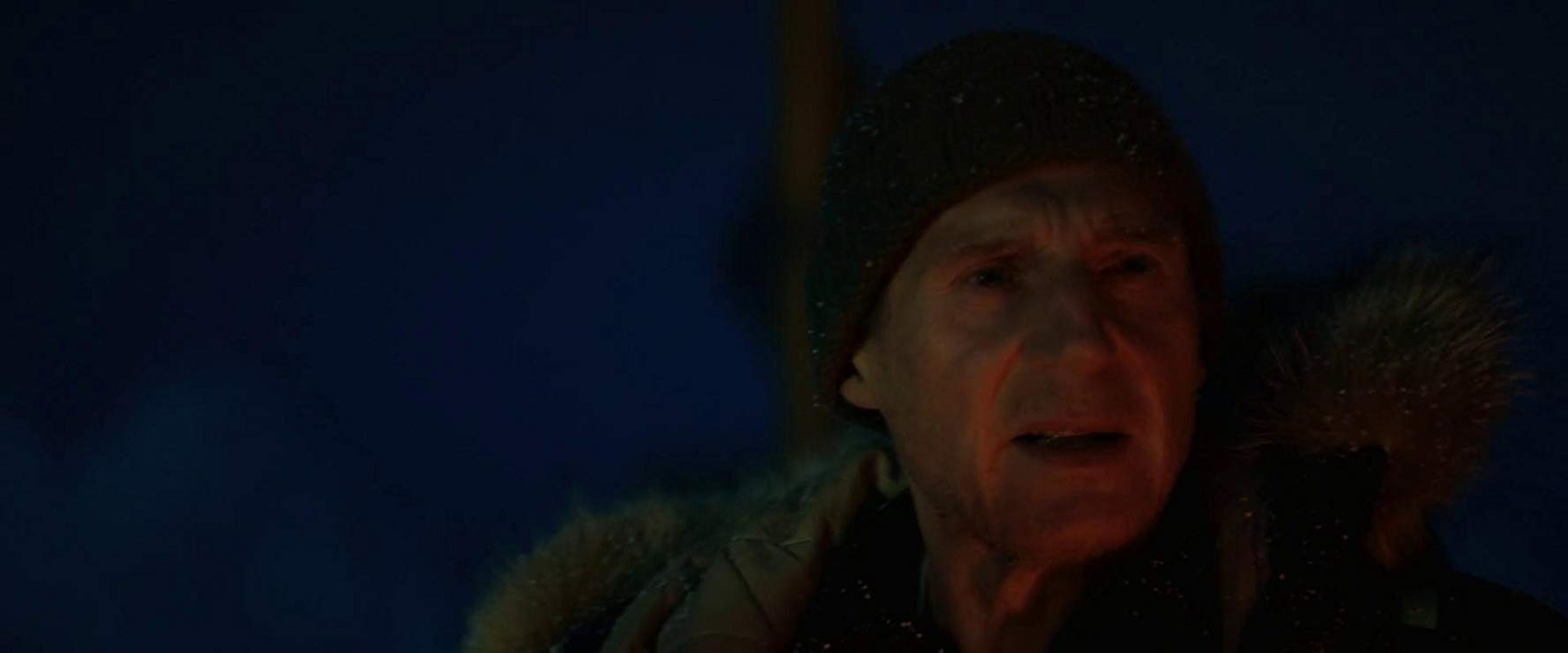 Cold Pursuit