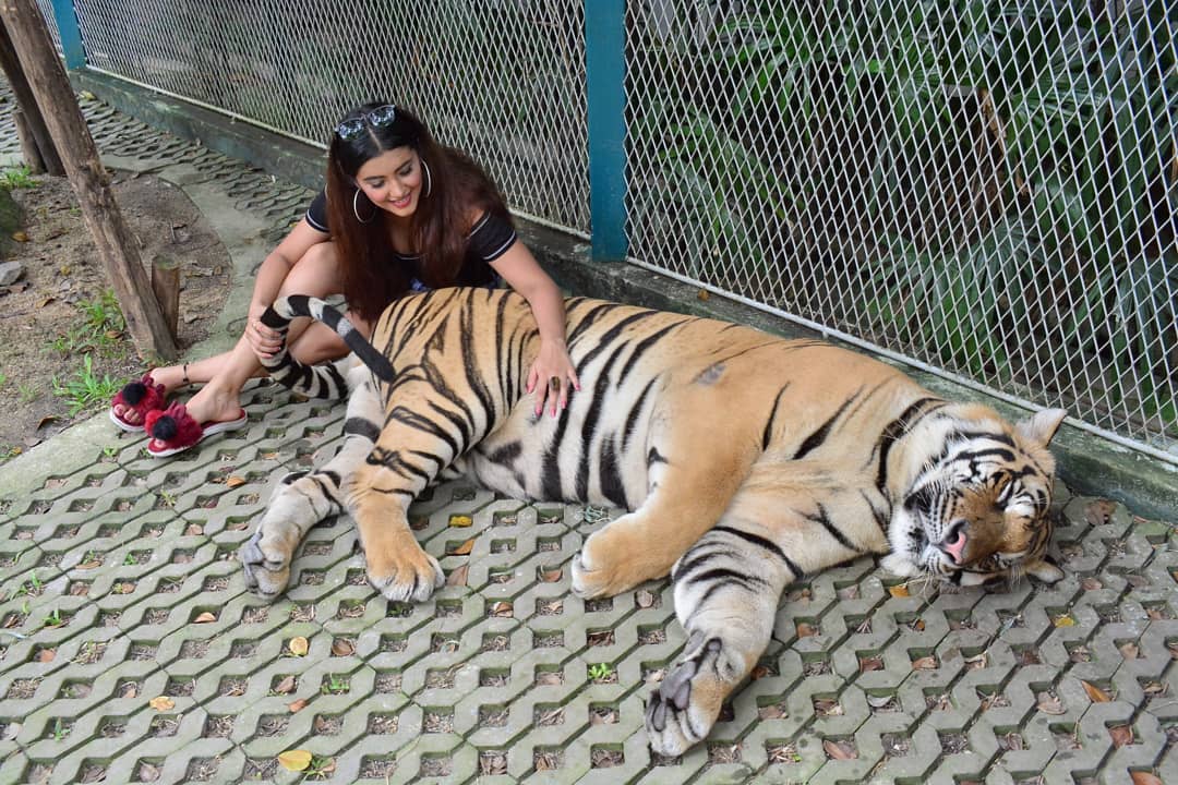Malvika Sharma Malvika Sharma