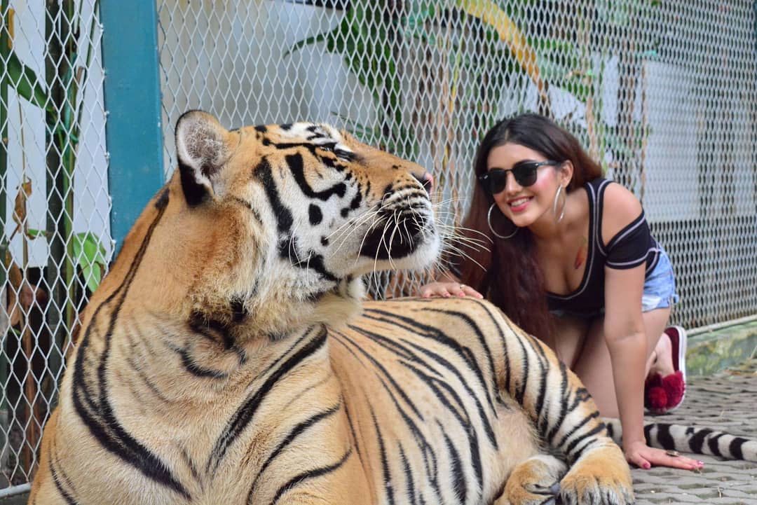 Malvika Sharma Malvika Sharma