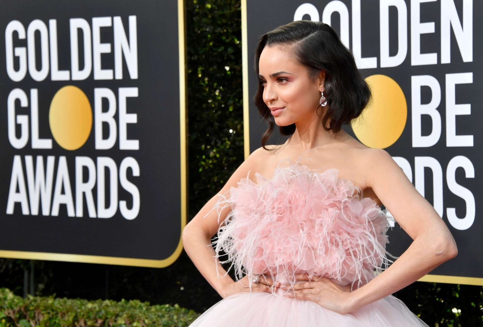 Sofia Carson