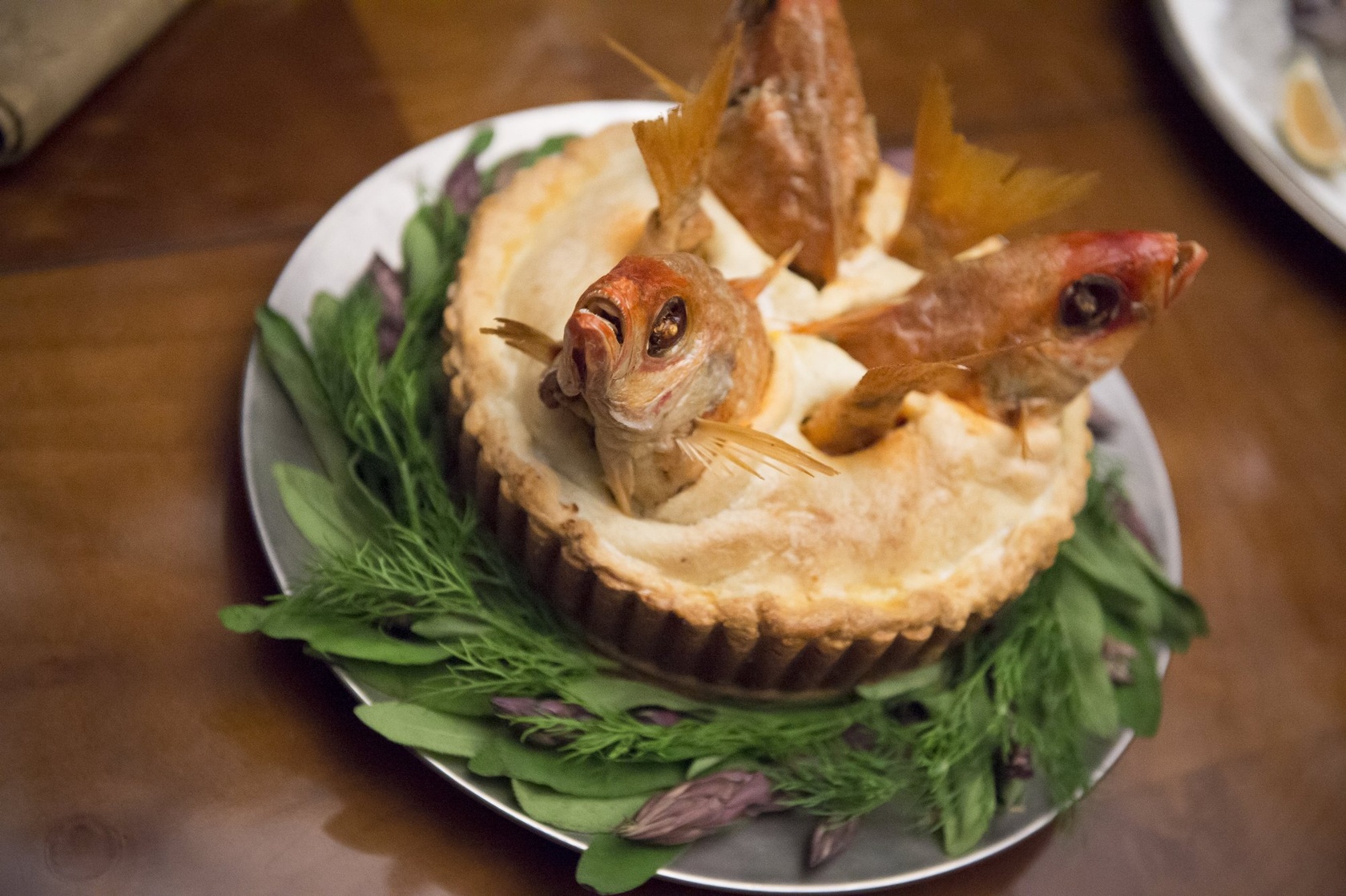 Stargazy Pie