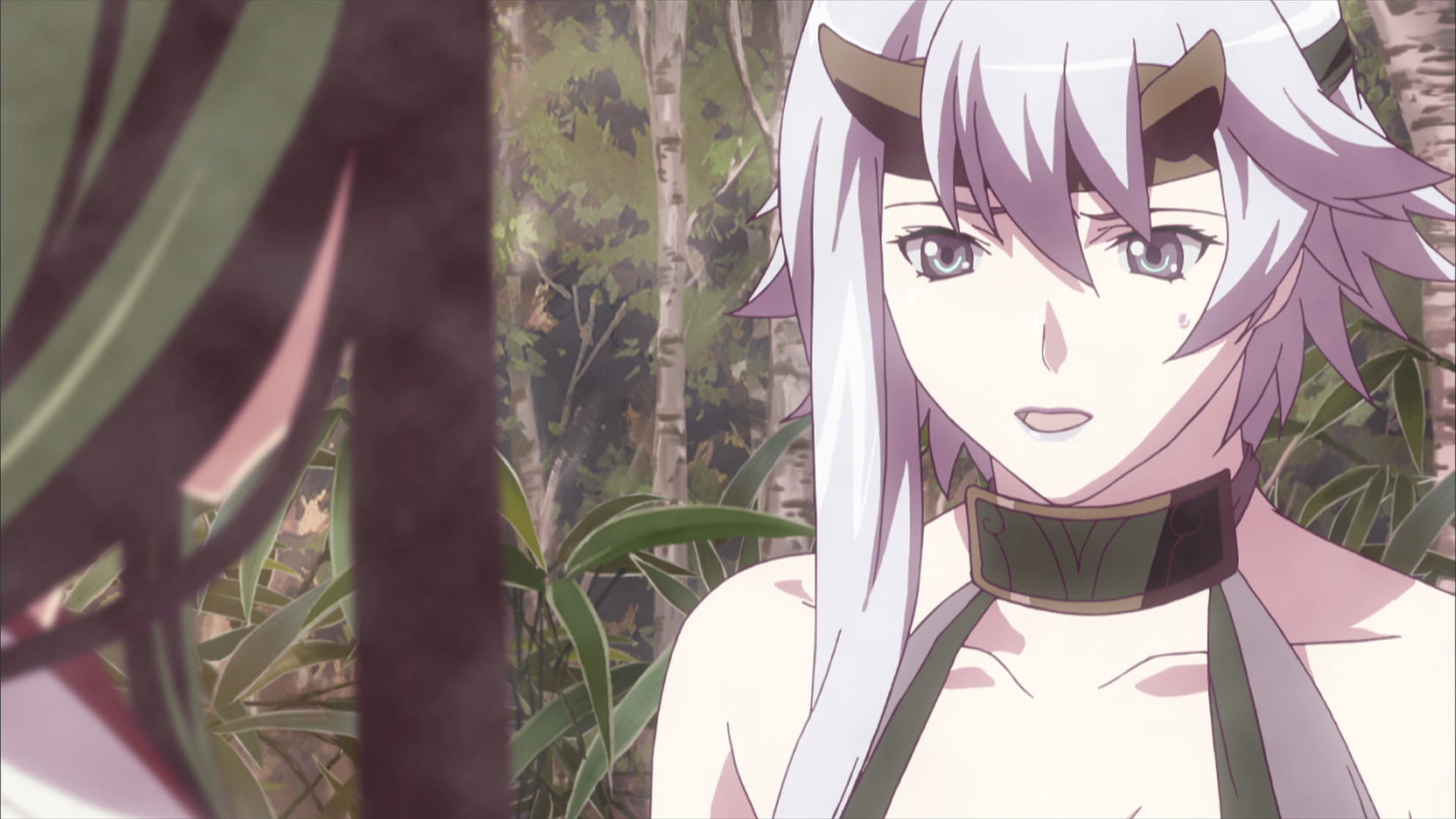 Queen's Blade: Wandering Warrior