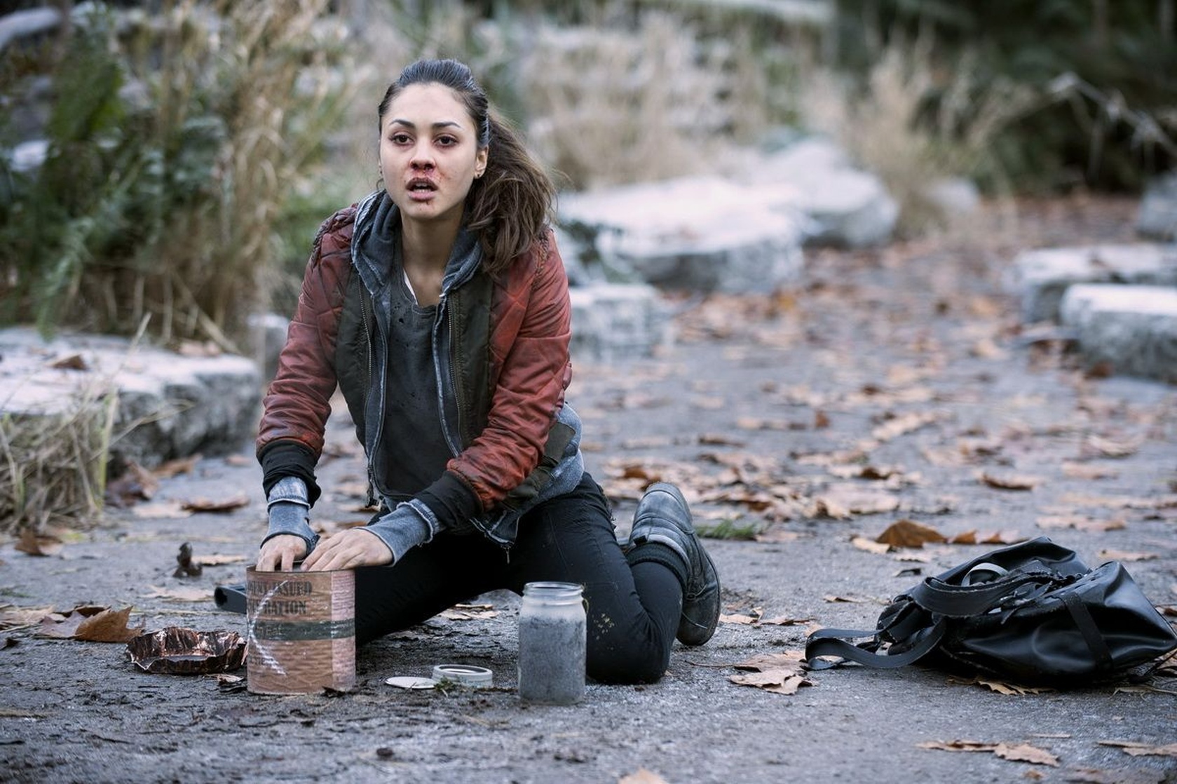 The 100 The 100
