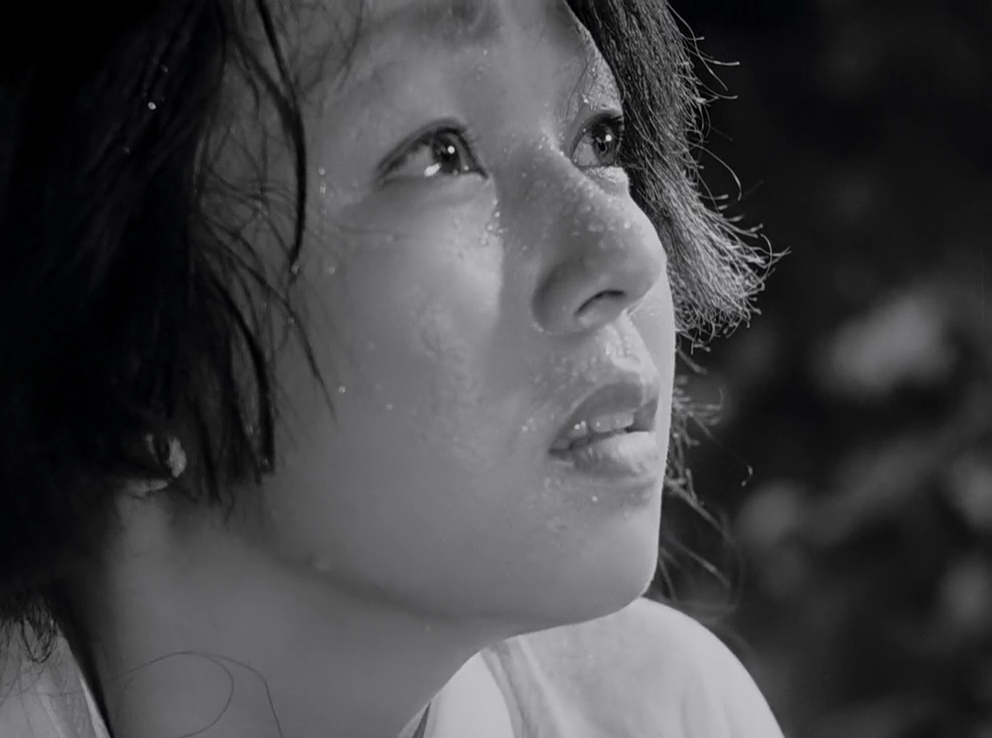 Rashomon Rashomon