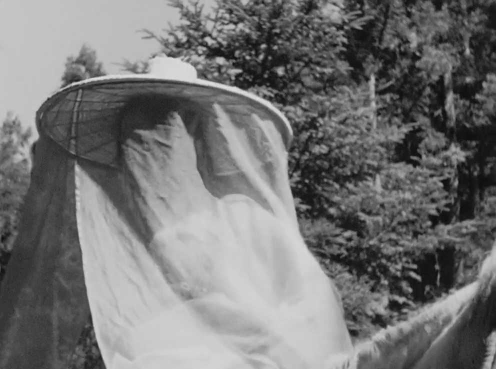 Rashomon Rashomon