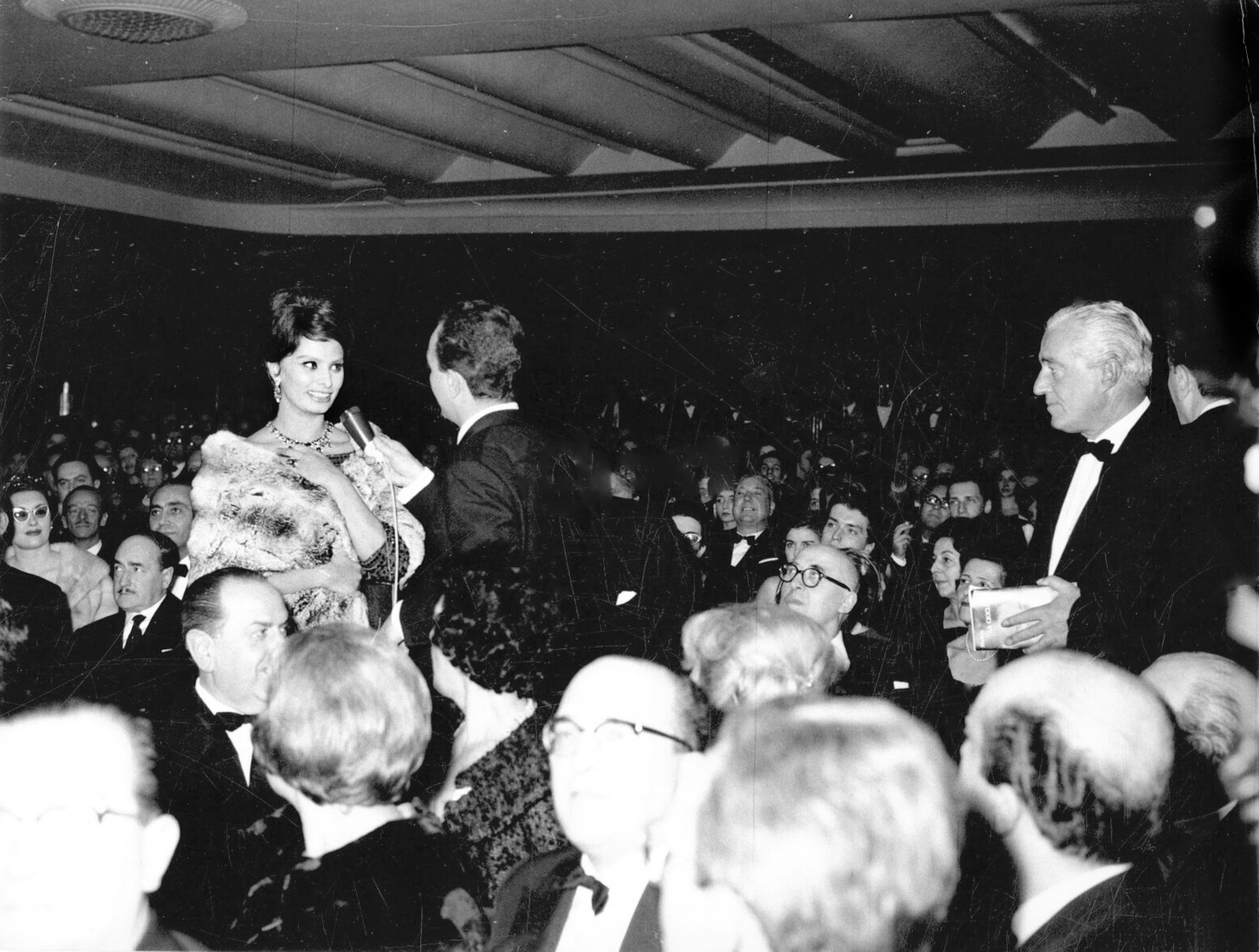 Sophia Loren Sophia Loren