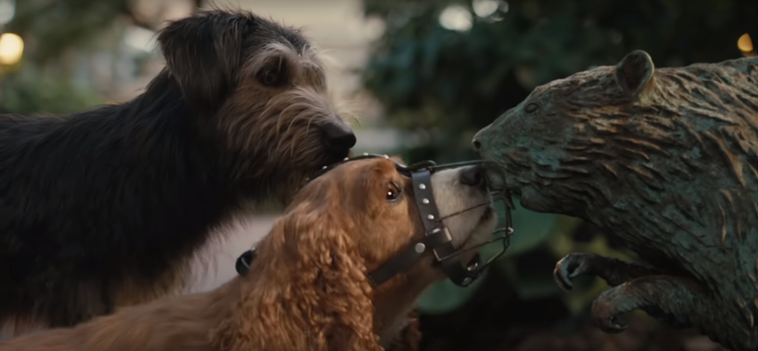 Lady and the Tramp