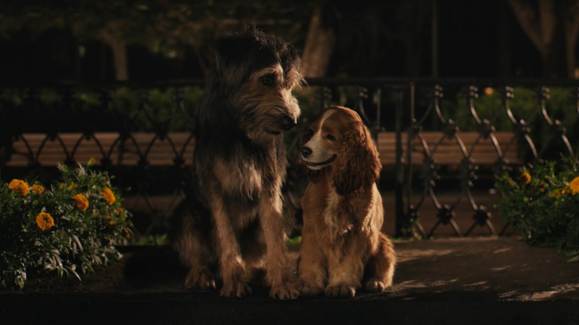 Lady and the Tramp