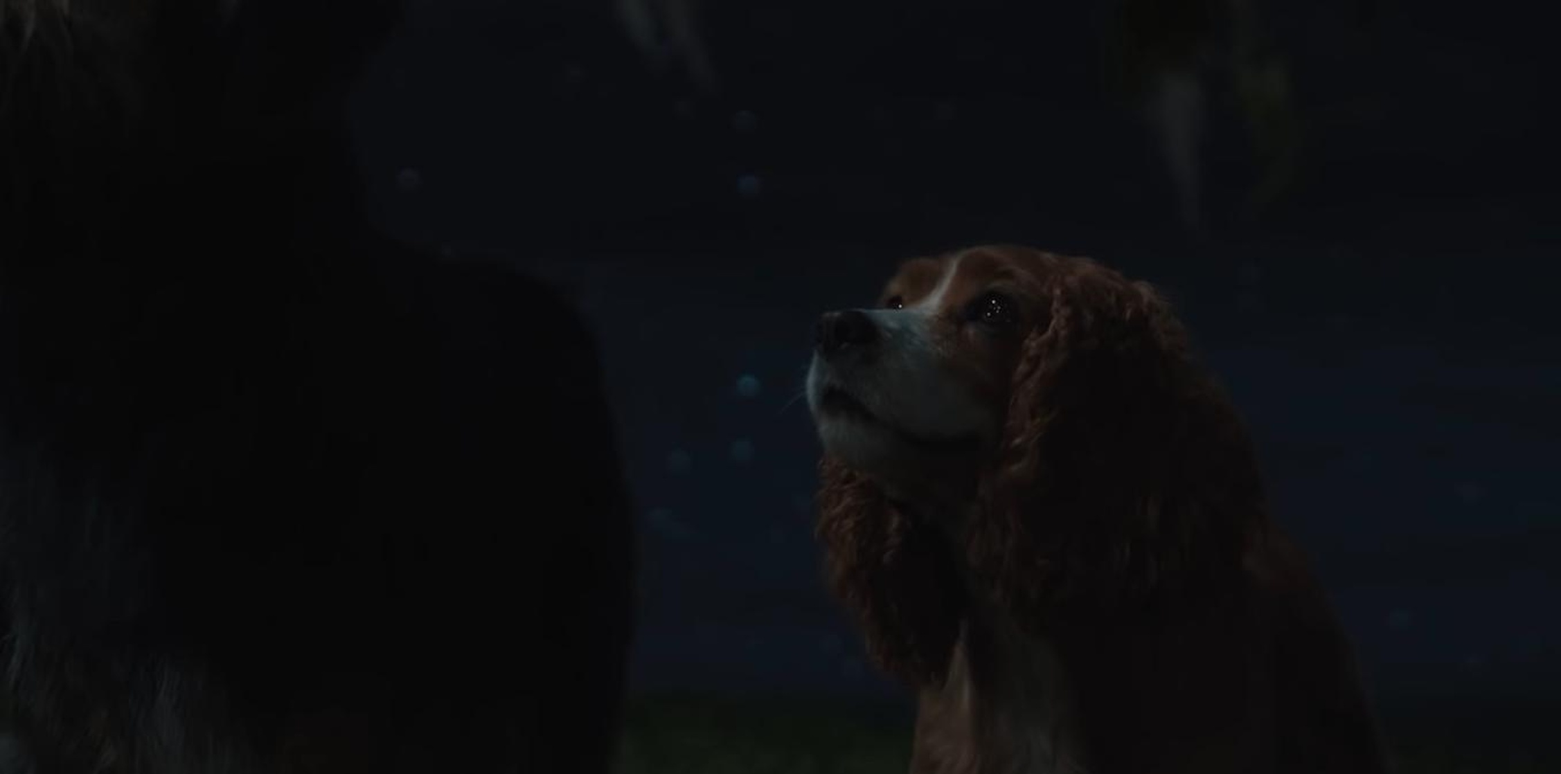 Lady and the Tramp