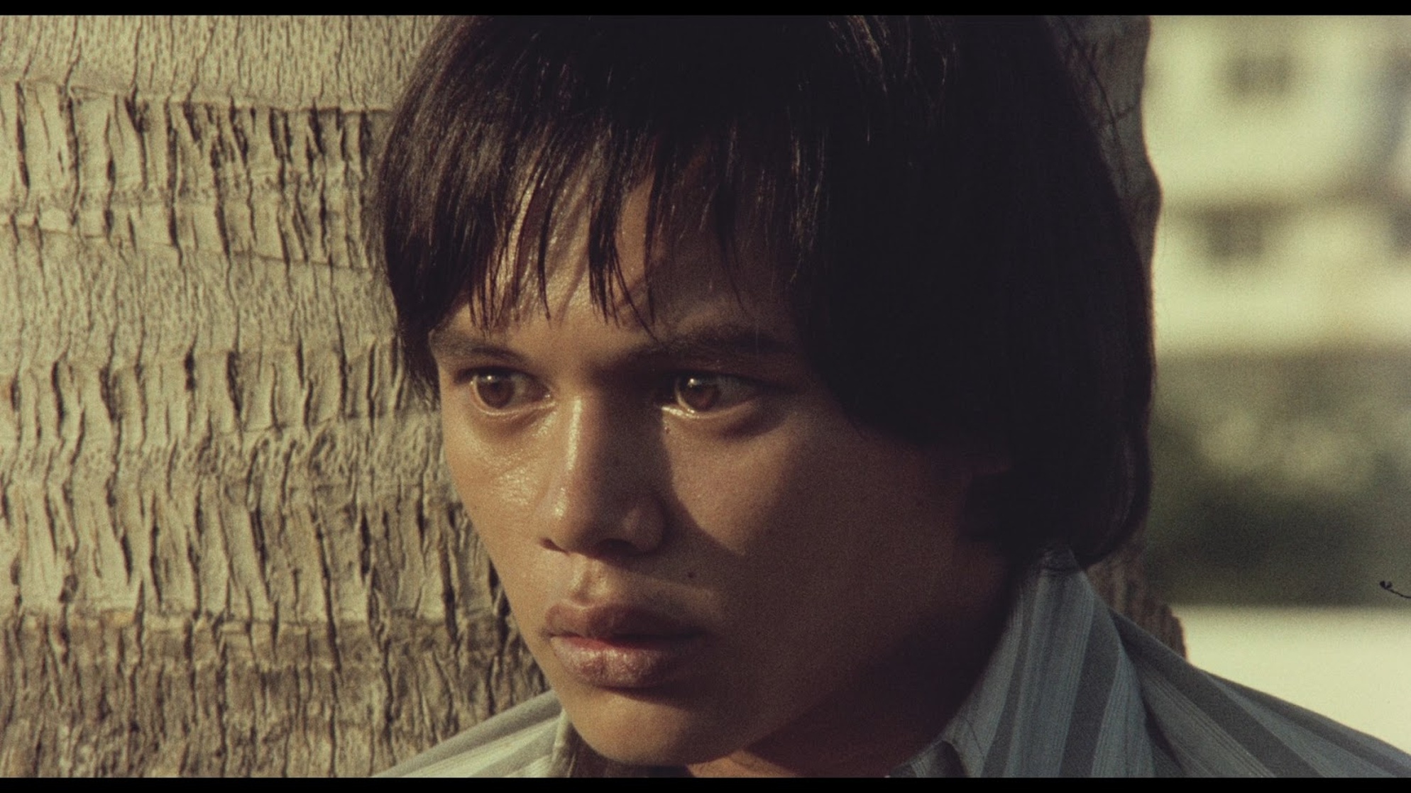 Manila in the Claws of Light (1975)