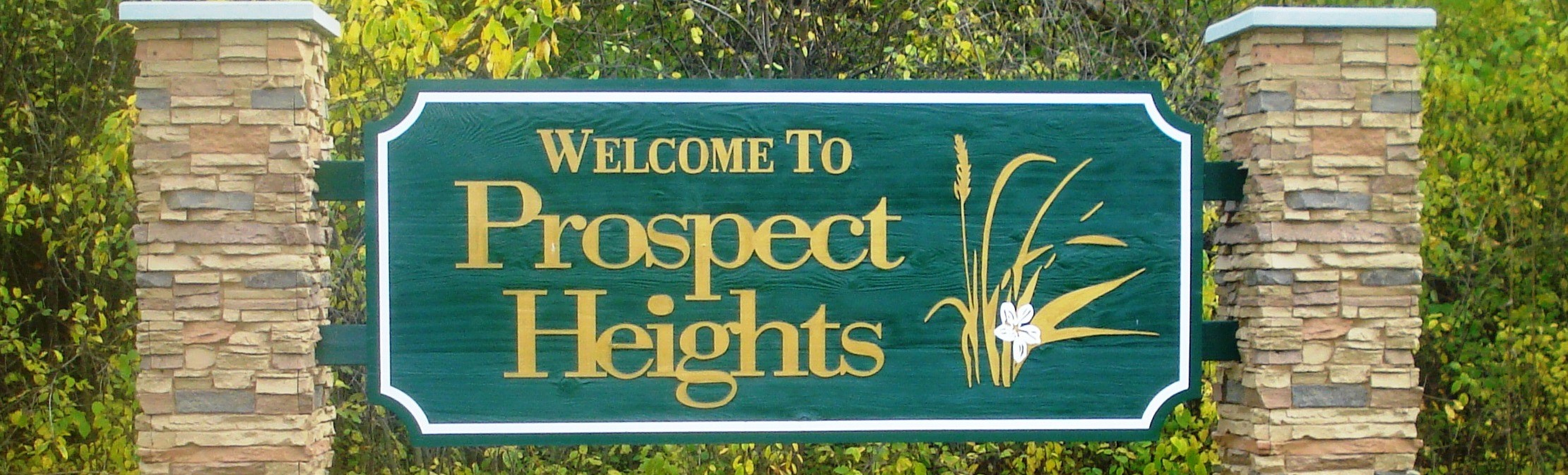 Picture of Prospect Heights, Illinois